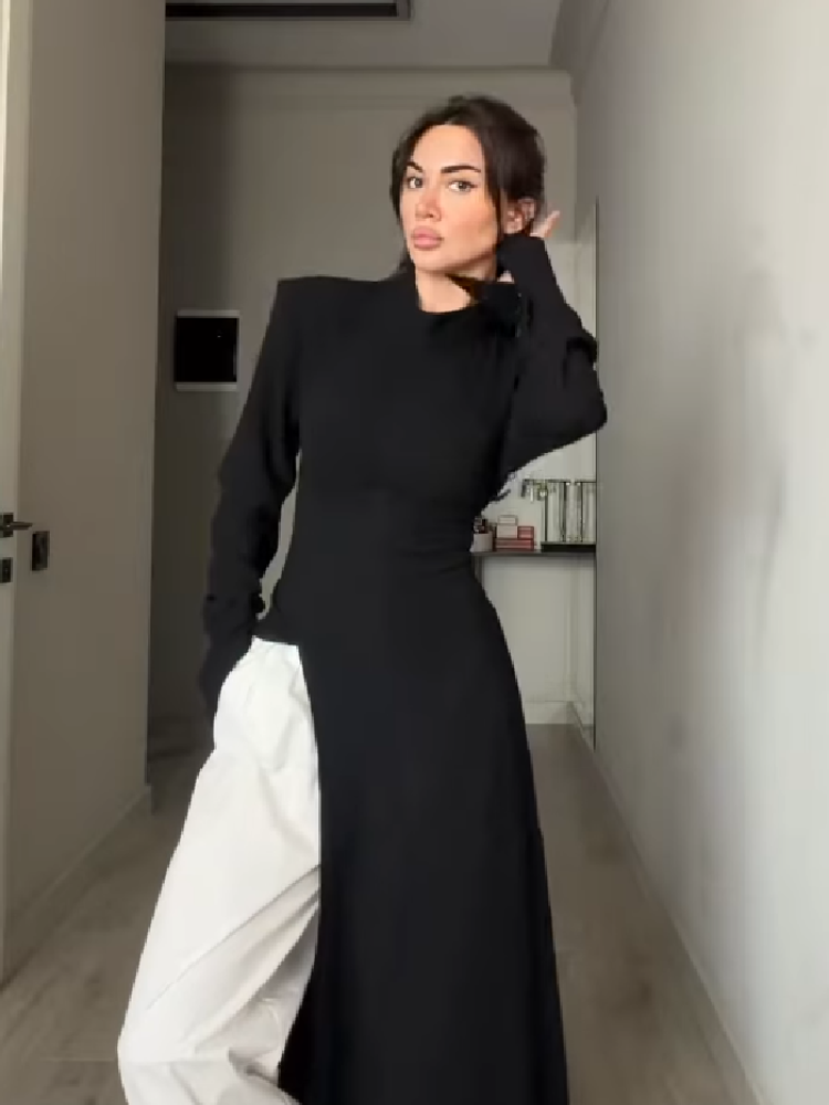 Elegantes Damenkleid mit Hohem – Women Formal Office Wear Tops Bewertung und Preis